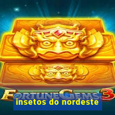 insetos do nordeste